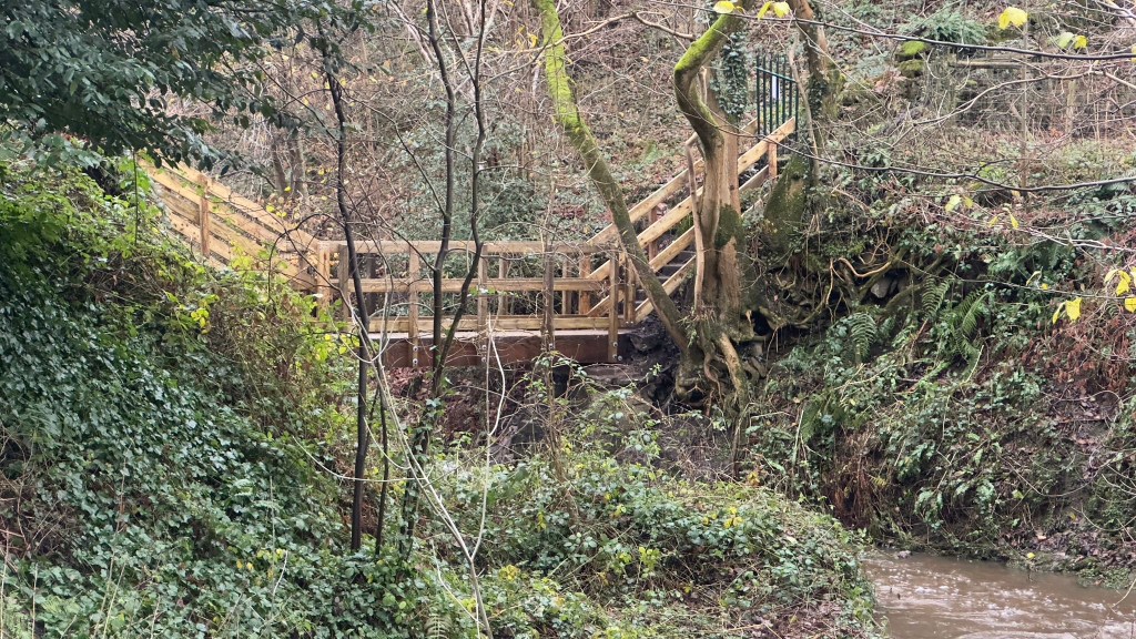 An image of a wooden footbridge set within a wooded area.